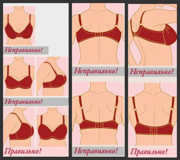 Размеры груди: таблица и фото ➡️ 1, 2, 3, 4, 5, 6 грудины