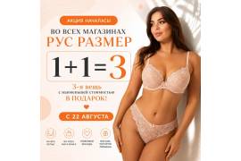 1+1=3